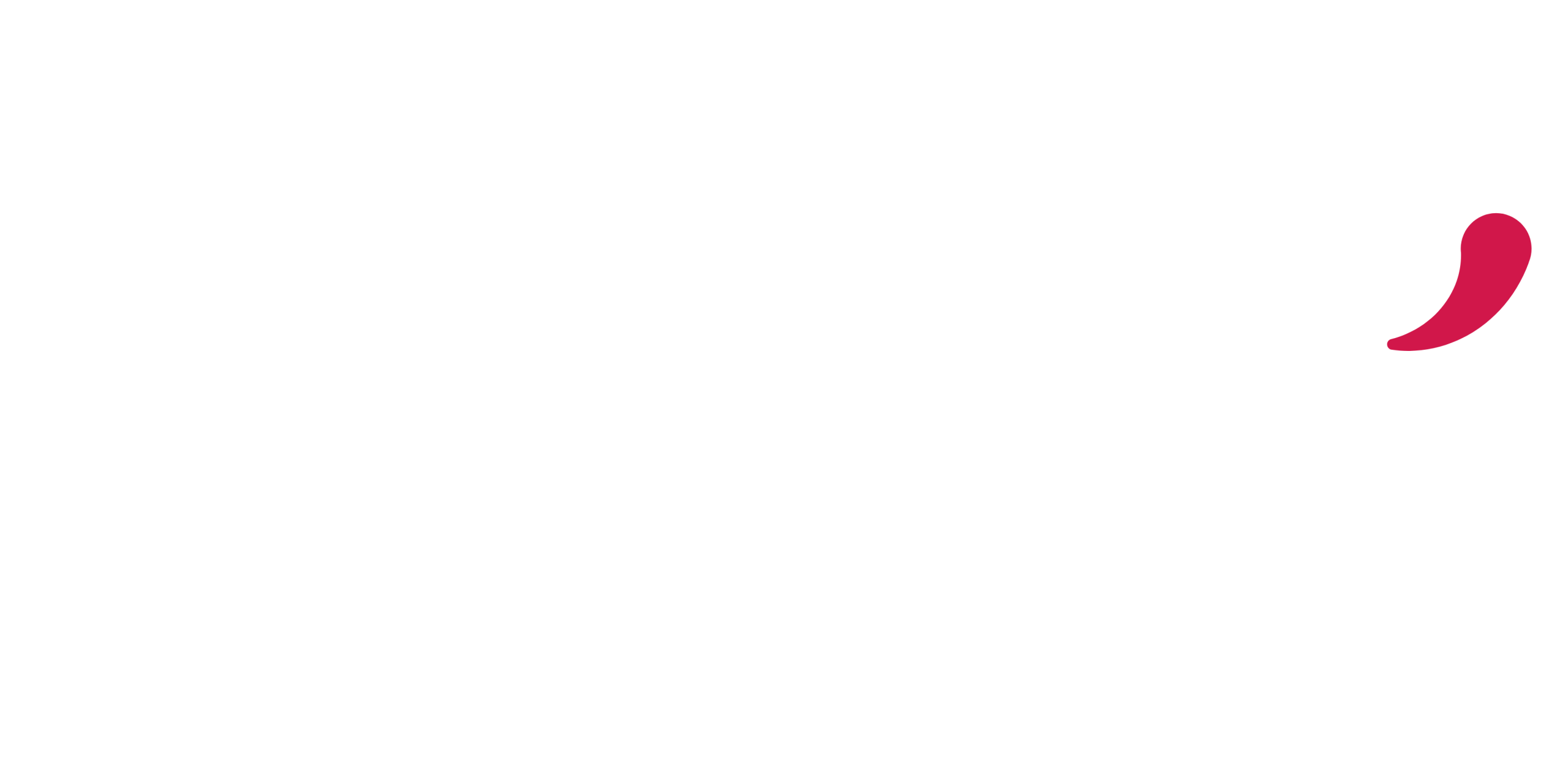 DOPAM' Stratégie d'entreprise - Structuration, développement, croissance